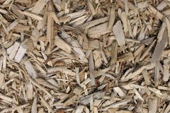 biomass boilers Bircholt Forstal